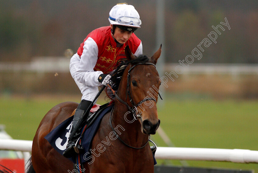 Budaiya-Fort-0001 
 BUDAIYA FORT (Eoin Walsh)
Wolverhampton 28 Nov 2018 - Pic Steven Cargill / Racingfotos.com