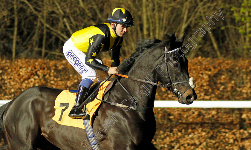 Wyvern-0002 
 WYVERN (Marco Ghiani)
Kempton 2 Mar 2022 - Pic Steven Cargill / Racingfotos.com