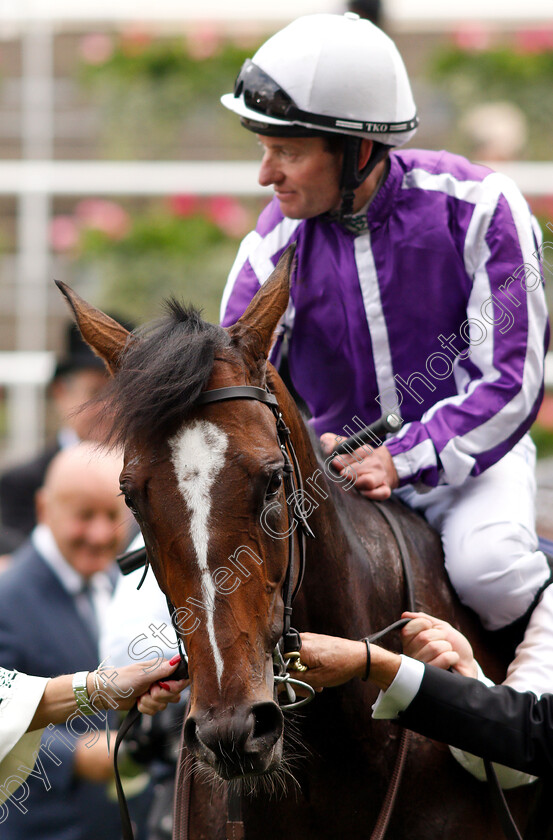 South-Pacific-0004 
 SOUTH PACIFIC (Seamie Heffernan) after The King George V Stakes
Royal Ascot 20 Jun 2019 - Pic Steven Cargill / Racingfotos.com