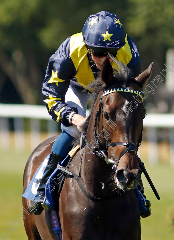 Peace-Of-Mine-0001 
 PEACE OF MINE (William Buick) winner of The Byerley Stud British EBF Restricted Maiden Stakes
Salisbury 11 Aug 2022 - Pic Steven Cargill / Racingfotos.com