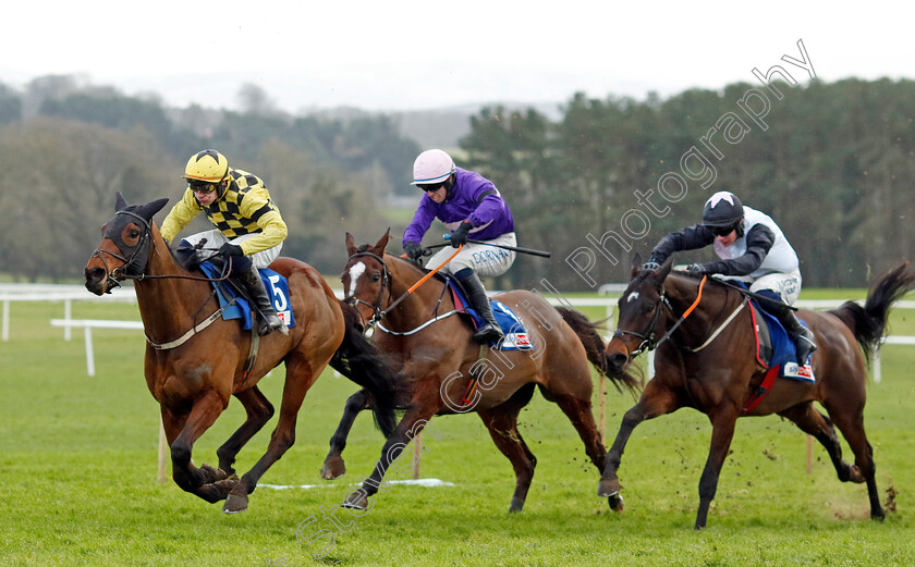 Salvator-Mundi-0004 
 SALVATOR MUNDI (Paul Townend) wins the Sky Bet Moscow Flyer Novice Hurdle
Punchestown 12 Jan 2025 - Pic Steven Cargill / Racingfotos.com