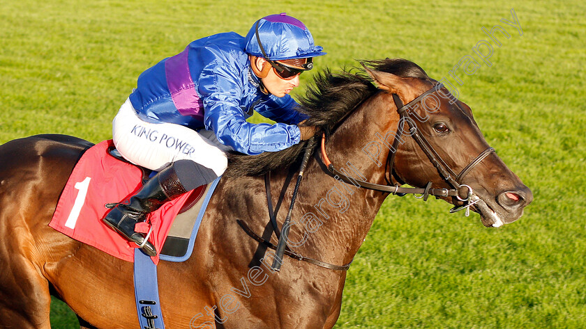 Migration-0006 
 MIGRATION (Silvestre De Sousa) wins The Fizz Fridays At Slug And Lettuce Handicap
Sandown 8 Aug 2019 - Pic Steven Cargill / Racingfotos.com