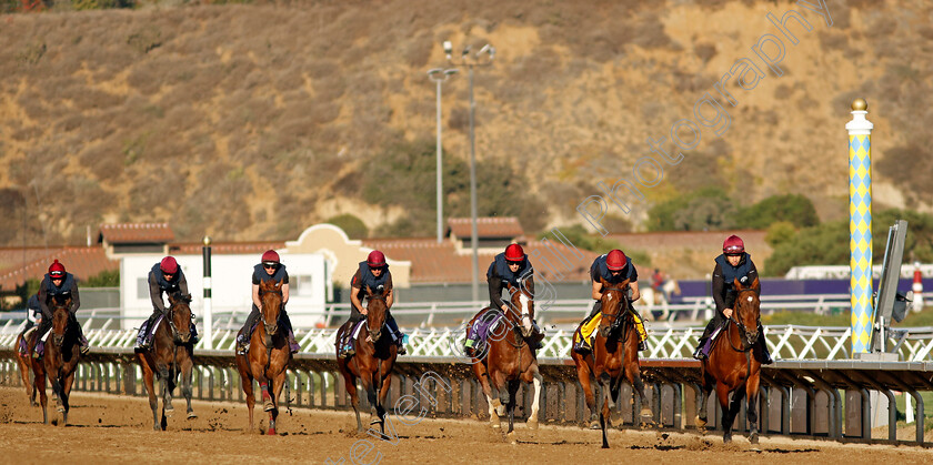 City-Of-Troy-0006 
 CITY OF TROY (2nd right, Rachel Richardson) training for the Breeders' Cup Classic
Del Mar USA 31 Oct 2024 - Pic Steven Cargill / Racingfotos.com