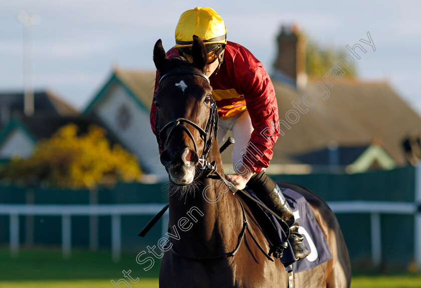 Whats-In-The-Bag-0001 
 WHATS IN THE BAG (Tom Marquand)
Yarmouth 22 Oct 2024 - Pic Steven Cargill / Racingfotos.com