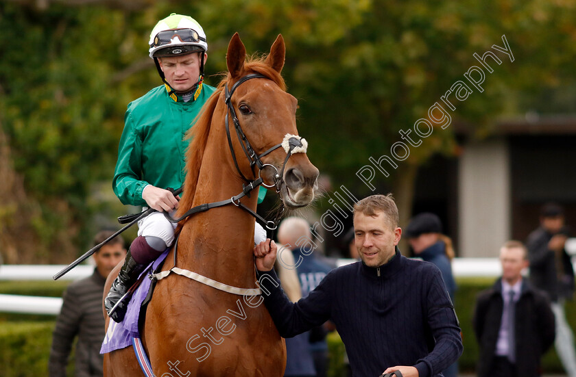 Nowhere-0001 
 NOWHERE (Rob Hornby)
Kempton 2 Oct 2024 - pic Steven Cargill / Racingfotos.com