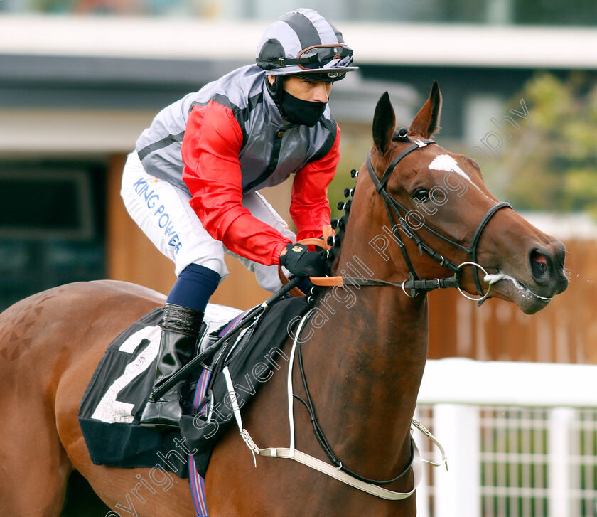 Dreams-Unwind-0001 
 DREAMS UNWIND (Silvestre De Sousa)
Newbury 19 Jul 2020 - Pic Steven Cargill / Racingfotos.com