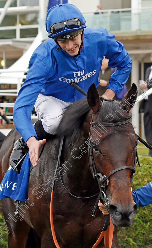 Frontiersman-0006 
 FRONTIERSMAN (James Doyle) after The Mukhadram Godolphin Stakes Newmarket 29 Sep 2017 - Pic Steven Cargill / Racingfotos.com