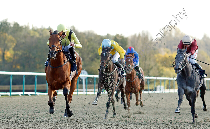 Maamora-0005 
 MAAMORA (James Doyle) wins The Coral EBF Fleur De Lys Fillies Stakes
Lingfield 28 Oct 2021 - Pic Steven Cargill / Racingfotos.com