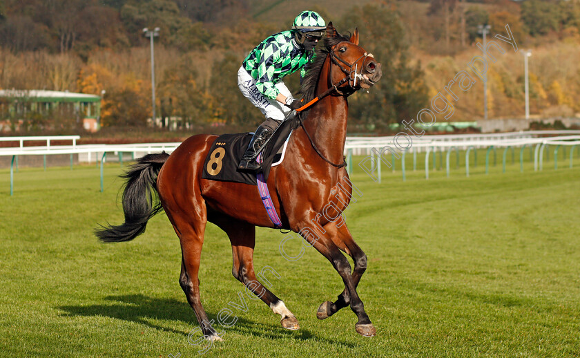 Navegaon-Gate-0001 
 NAVEGAON GATE (Tom Marquand)
Nottingham 4 Nov 2020 - Pic Steven Cargill / Racingfotos.com