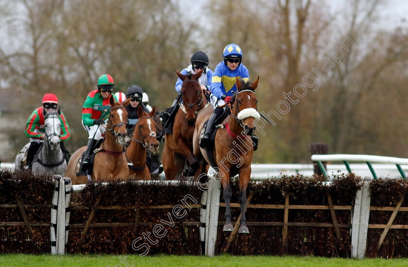 Bobbi s-Beauty-0002 
 BOBBI'S BEAUTY (Tom Bellamy)
Warwick 22 Nov 2023 - Pic Steven Cargill / Racingfotos.com