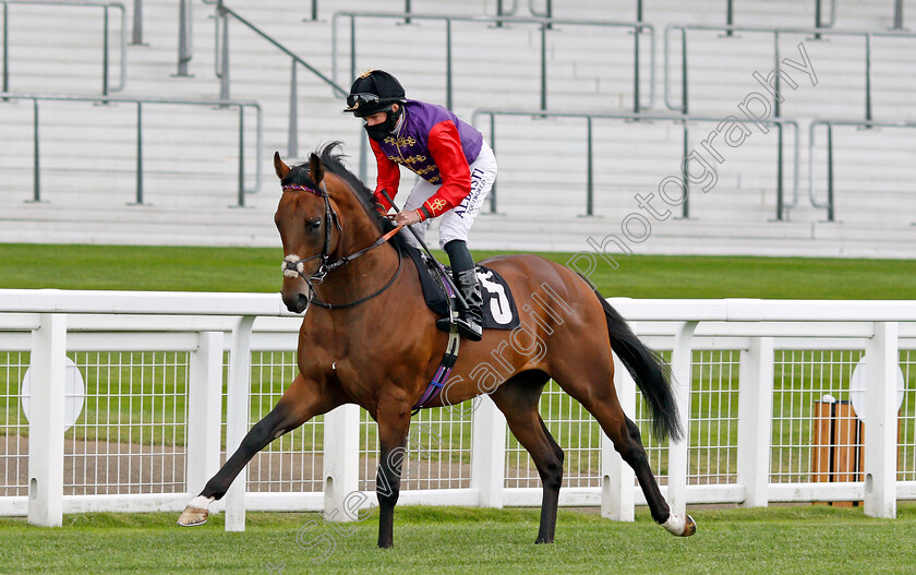 Inveigle-0002 
 INVEIGLE (Ryan Moore)
Ascot 25 Jul 2020 - Pic Steven Cargill / Racingfotos.com