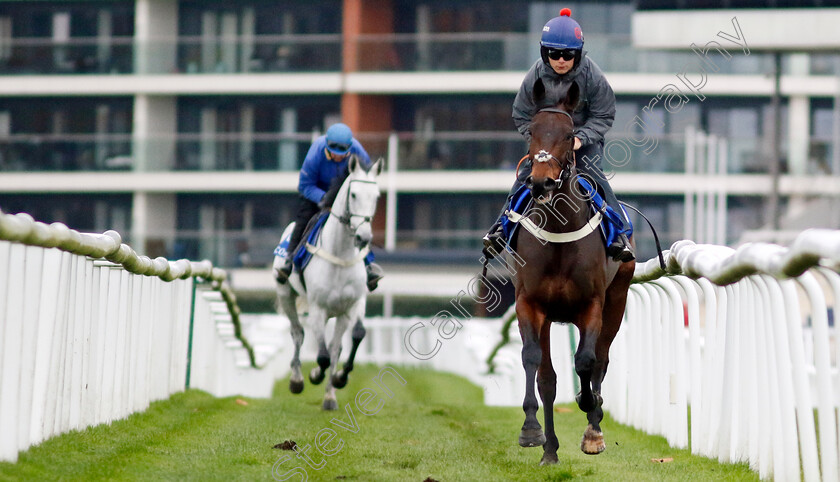 Rightsotom-0001 
 RIGHTSOTOM (Freddie Gingell)
Coral Gold Cup Gallops Morning
Newbury 21 Nov 2023 - Pic Steven Cargill / Racingfotos.com