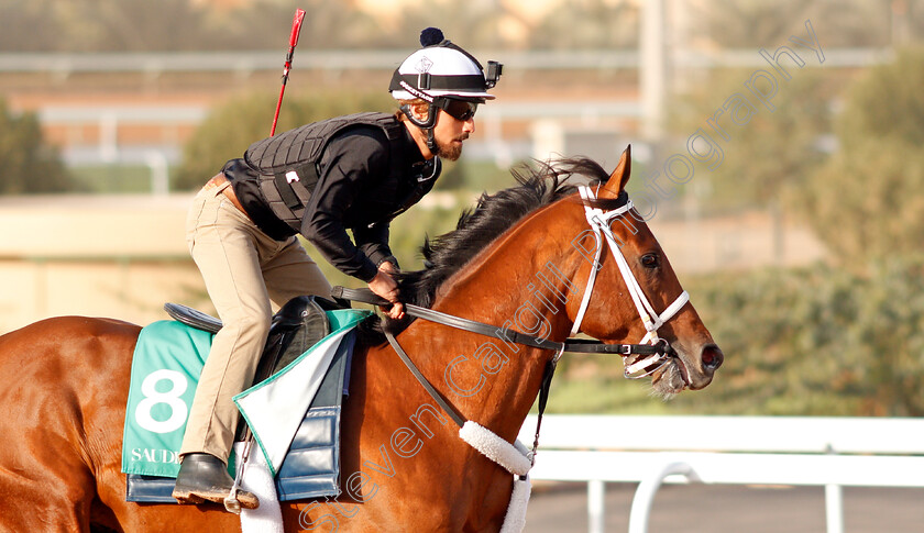 Maximum-Security-0005 
 MAXIMUM SECURITY preparing for The Saudi Cup
Riyadh Racetrack, Kingdom Of Saudi Arabia, 27 Feb 2020 - Pic Steven Cargill / Racingfotos.com