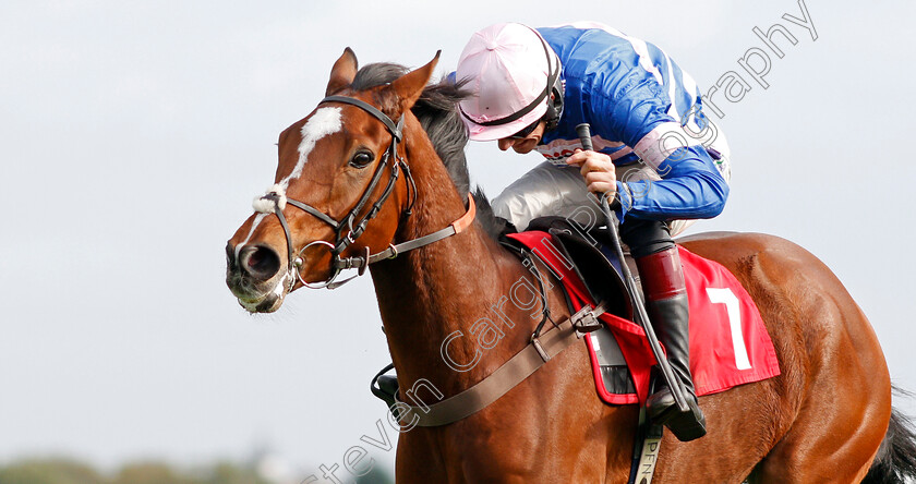 Risk-And-Roll-0006 
 RISK AND ROLL (Sam Twiston-Davies) wins The Matchbook Betting Exchange Juvenile Hurdle Kempton 22 oct 2017 - Pic Steven Cargill / Racingfotos.com