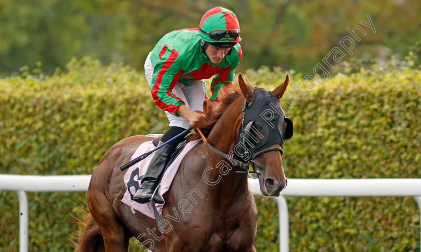 Irrelevant-0007 
 IRRELEVANT (Finley Marsh) winner of The Skyline Roofing Centre's Nursery
Kempton 8 Sep 2023 - Pic Steven Cargill / Racingfotos.com