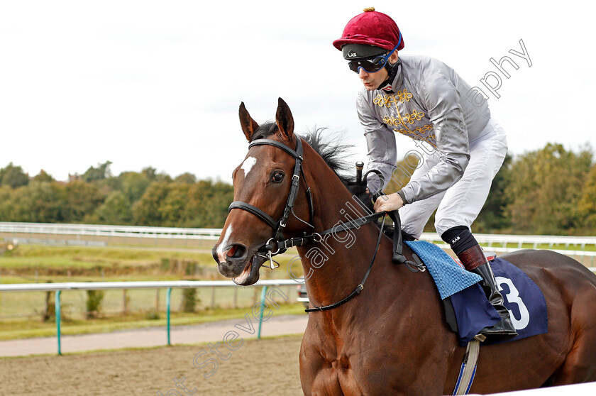 Al-Rufaa-0001 
 AL RUFAA (Robert Havlin)
Lingfield 3 Oct 2019 - Pic Steven Cargill / Racingfotos.com