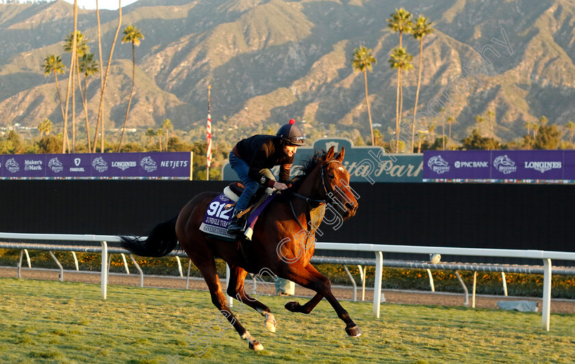 Givemethebeatboys-0001 
 GIVEMETHEBEATBOYS (Shane Foley) training for the Breeders' Cup Juvenile Turf Sprint
Santa Anita USA, 1 Nov 2023 - Pic Steven Cargill / Racingfotos.com