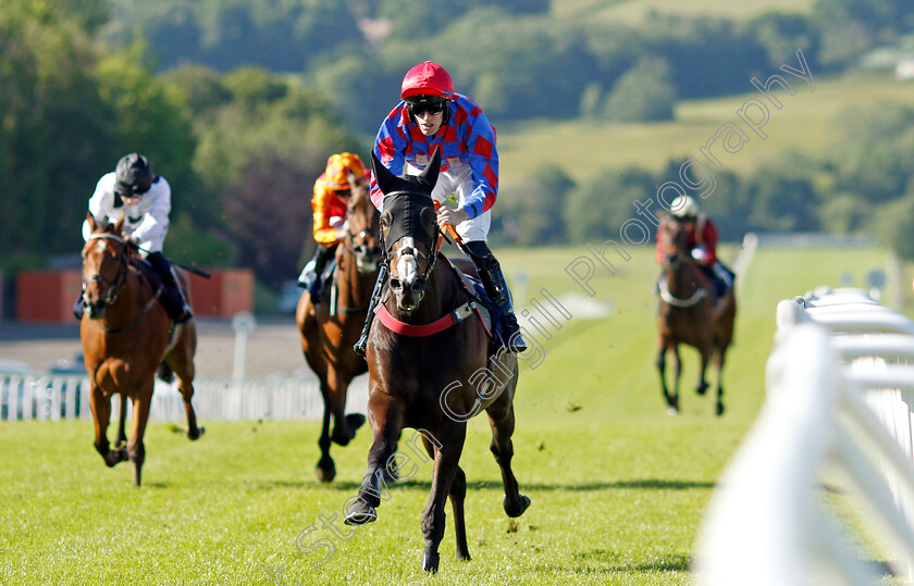 Cogital-0002 
 COGITAL (Jordan Williams) wins The First Cafes Handicap
Chepstow 27 May 2022 - Pic Steven Cargill / Racingfotos.com