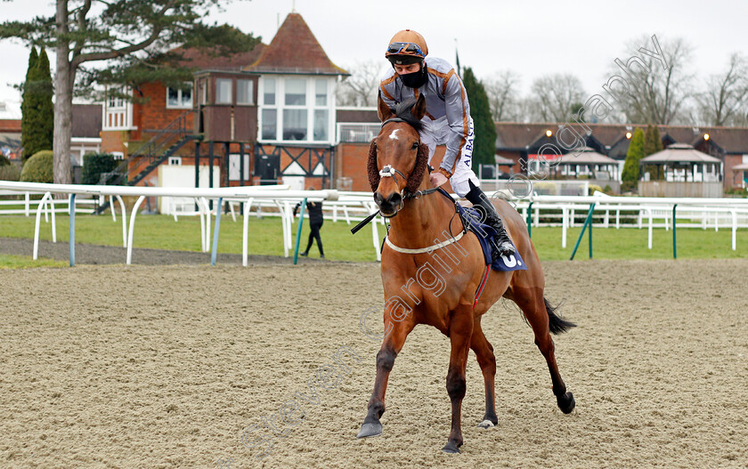 Summerghand-0001 
 SUMMERGHAND (Adam Kirby)
Lingfield 6 Feb 2021 - Pic Steven Cargill / Racingfotos.com