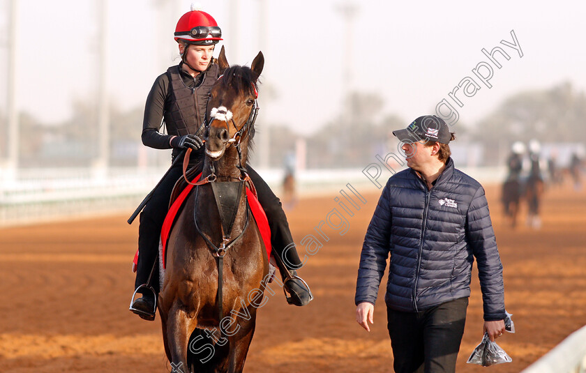 Prince-Of-Arran-0002 
 PRINCE OF ARRAN preparing for The Turf Handicap with Charlie Fellowes
Riyadh Racetrack, Kingdom Of Saudi Arabia, 27 Feb 2020 - Pic Steven Cargill / Racingfotos.com