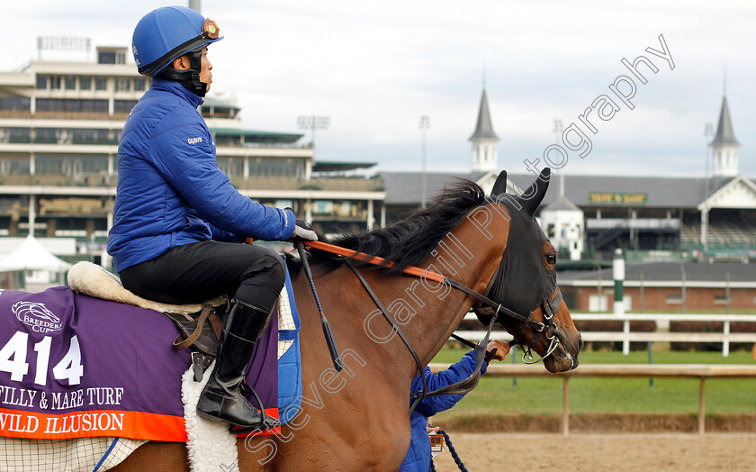 Wild-Illusion-0001 
 WILD ILLUSION exercising ahead of The Breeders' Cup Filly & Mare Turf
Churchill Downs 30 Oct 2018 - Pic Steven Cargill / Racingfotos.com