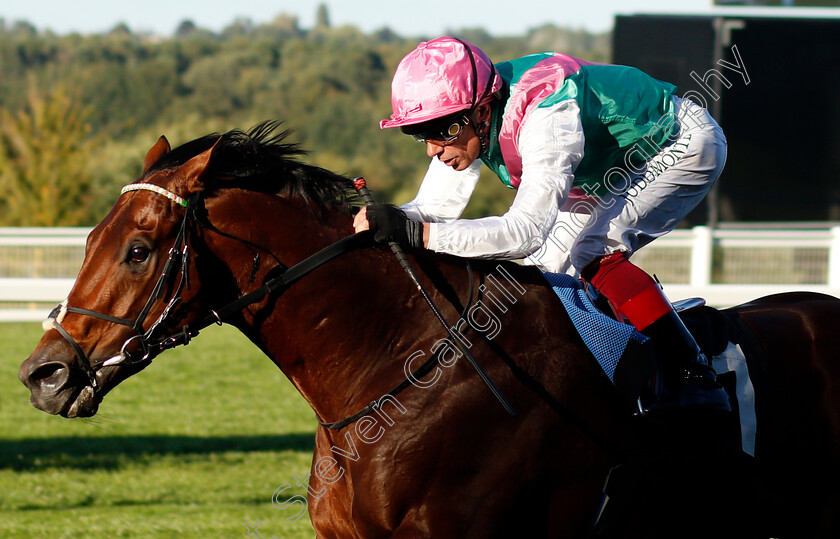 Sunray-Major-0003 
 SUNRAY MAJOR (Frankie Dettori) wins The Berkshire Search & Rescue Dogs Handicap
Ascot 1 Oct 2021 - Pic Steven Cargill / Racingfotos.com