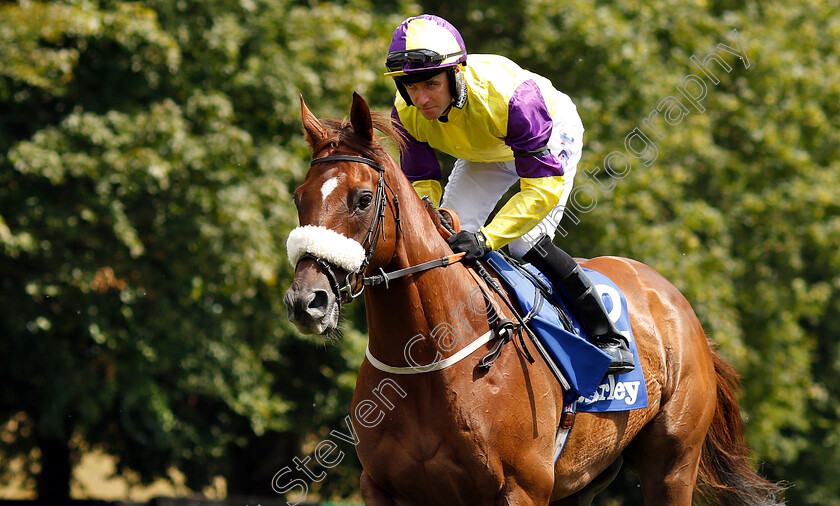 Brando-0002 
 BRANDO (Tom Eaves)
Newmarket 14 Jul 2018 - Pic Steven Cargill / Racingfotos.com