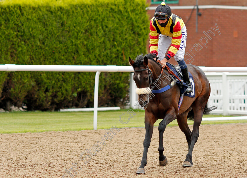 Quiet-Rain-0001 
 QUIET RAIN (Cam Hardie)
Wolverhampton 31 Jul 2020 - Pic Steven Cargill / Racingfotos.com