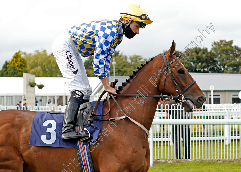 Nibras-Again-0001 
 NIBRAS AGAIN (Kieran Shoemark)
Bath 18 Jul 2020 - Pic Steven Cargill / Racingfotos.com