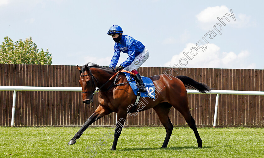 Wild-Tiger-0001 
 WILD TIGER (Oisin Murphy)
Leicester 1 Jun 2021 - Pic Steven Cargill / Racingfotos.com