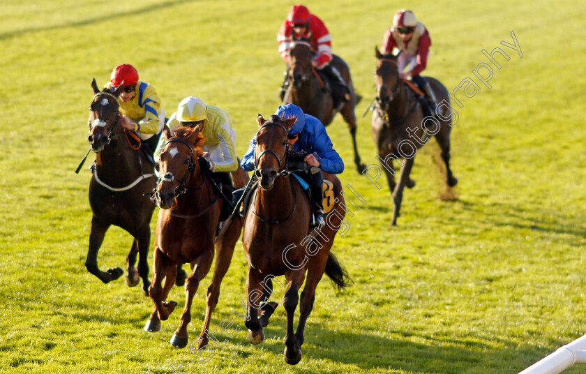 Mountain-Song-0002 
 MOUNTAIN SONG (right, William Buick) beats CHOISYA (centre) in The Every Race Live On Racing TV Fillies Handicap
Newmarket 25 Oct 2023 - Pic Steven Cargill / Racingfotos.com