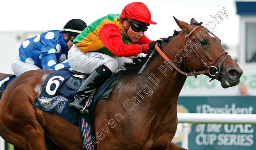 Nafees-0003 
 NAFEES (Tadhg O'Shea) wins The President Of The UAE Cup (UK Arabian Derby) Doncaster 16 Sep 2017 - Pic Steven Cargill / Racingfotos.com