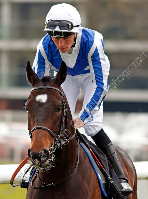 Contrapposto-0001 
 CONTRAPPOSTO (Kieran Shoemark) Newbury 21 Apr 2018 - Pic Steven Cargill / Racingfotos.com