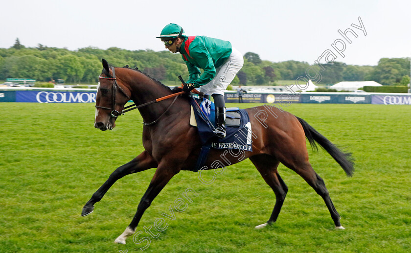 Keran-0002 
 KERAN (Cristian Demuro)
Longchamp 12 May 2024 - Pic Steven Cargill / Racingfotos.com