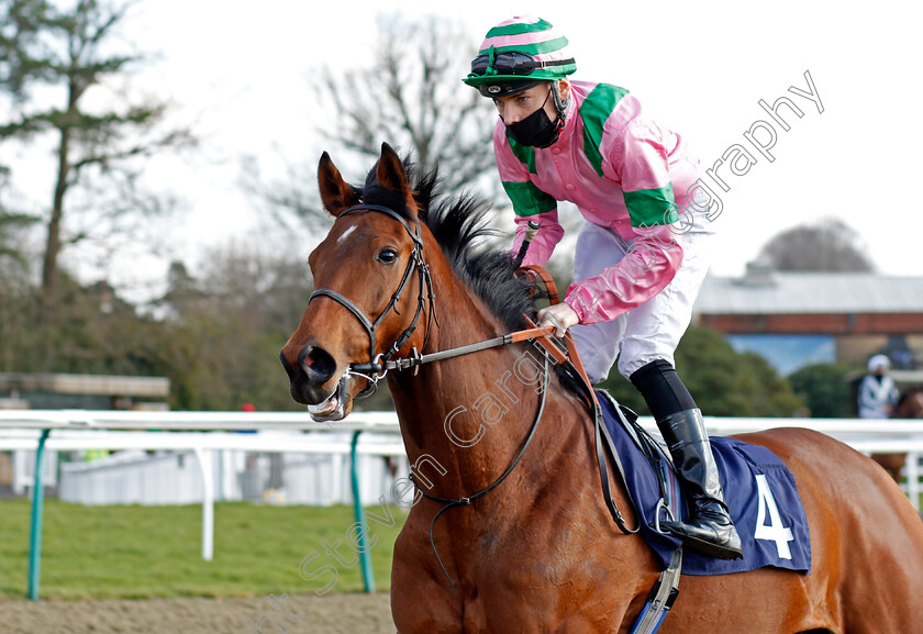 Oriental-Art-0001 
 ORIENTAL ART (Callum Shepherd)
Lingfield 27 Feb 2021 - Pic Steven Cargill / Racingfotos.com