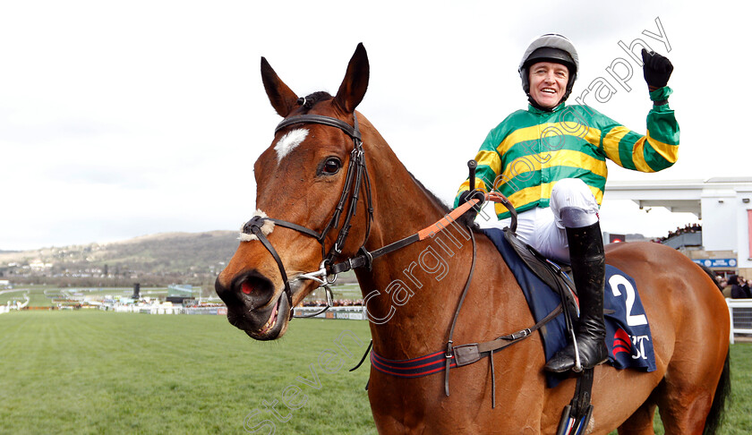 Defi-Du-Seuil-0003 
 DEFI DU SEUIL (Barry Geraghty) after The JLT Novices Chase
Cheltenham 14 Mar 2019 - Pic Steven Cargill / Racingfotos.com