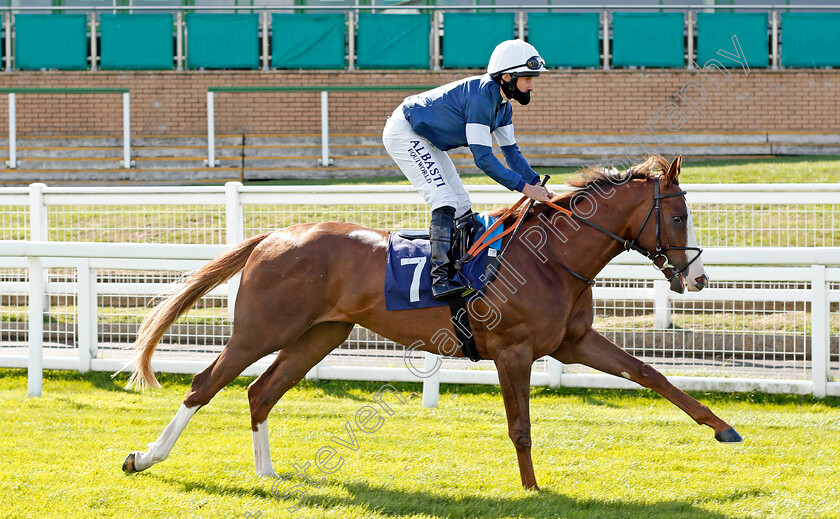 Ridgeway-Avenue-0002 
 RIDGEWAY AVENUE (Ryan Moore)
Yarmouth 25 Aug 2020 - Pic Steven Cargill / Racingfotos.com