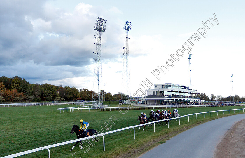 Thundering-Blue-0003 
 THUNDERING BLUE (Fran Berry) in last place with a circuit to run in The Stockholm Cup International
Bro Park, Sweden 23 Sep 2018 - Pic Steven Cargill / Racingfotos.com