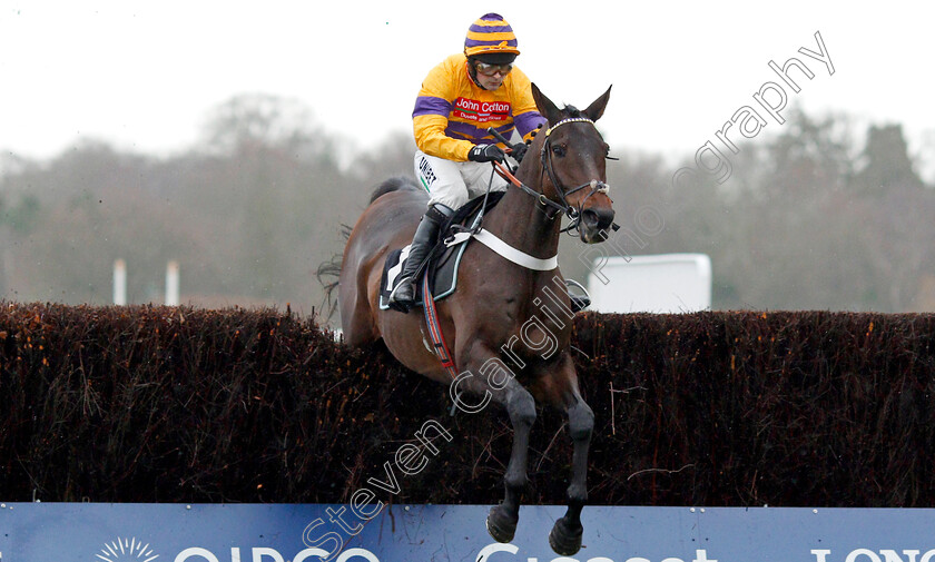 Kobrouk-0001 
 KOBROUK (Nico de Boinville) 
Ascot 21 Dec 2019 - Pic Steven Cargill / Racingfotos.com