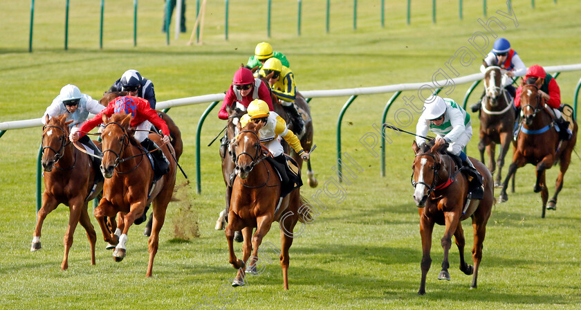 Gold-As-Glass-0004 
 GOLD AS GLASS (centre, Hollie Doyle) beats MARIE LAVEAU (right) and MEXICALI ROSE (2nd left) in The Discover Newmarket Fillies Restricted Novice Stakes Div1
Newmarket 19 Oct 2022 - Pic Steven Cargill / Racingfotos.com