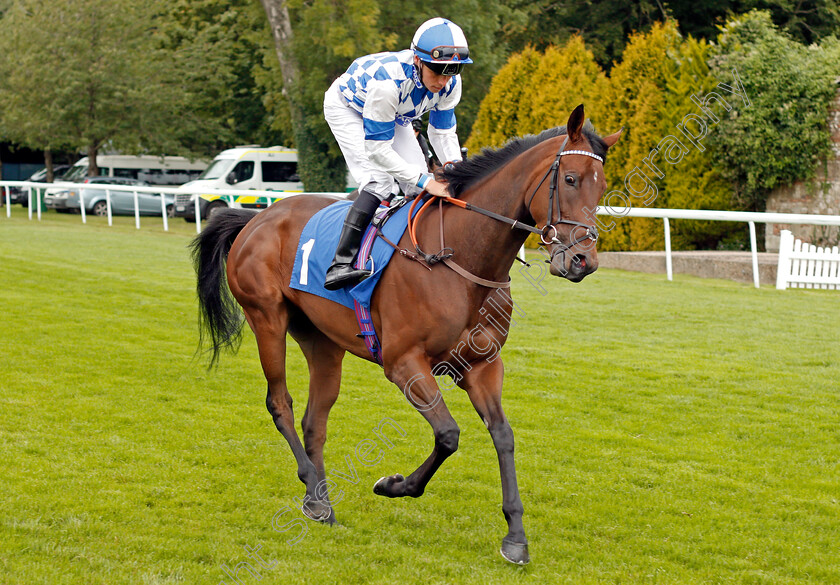 Clairette-0001 
 CLAIRETTE (Kieran Shoemark) winner of The British EBF Quidhampton Maiden Fillies Stakes Div2 Salisbury 7 Sep 2017 - Pic Steven Cargill / Racingfotos.com