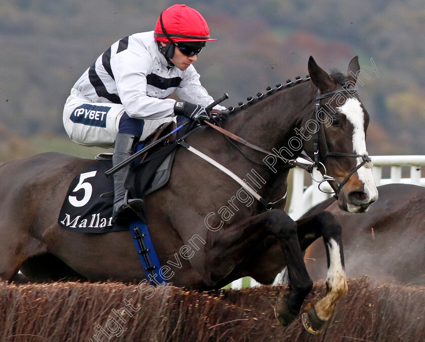 The-Other-Mozzie-0002 
 THE OTHER MOZZIE (Jonathan Burke)
Cheltenham 17 Nov 2024 - Pic Steven Cargill / Racingfotos.com