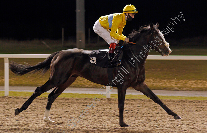 Seven-Pockets-0002 
 SEVEN POCKETS (David Egan)
Chelmsford 8 Oct 2020 - Pic Steven Cargill / Racingfotos.com