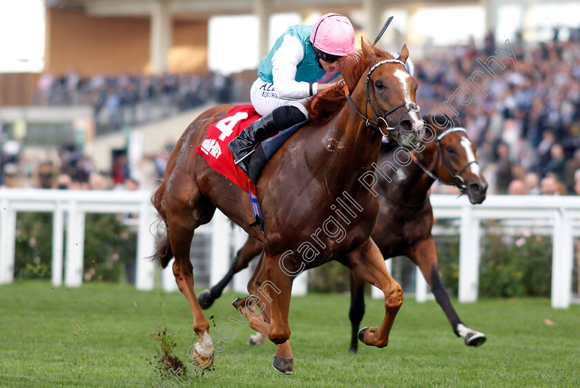 Blue-Mist-0005 
 BLUE MIST (Ryan Moore) wins The Mar-Key Group Classified Stakes
Ascot 5 Oct 2018 - Pic Steven Cargill / Racingfotos.com