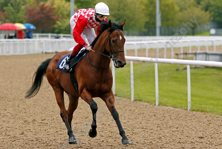 Dinoo-0001 
 DINOO (David Egan)
Wolverhampton 24 May 2021 - Pic Steven Cargill / Racingfotos.com