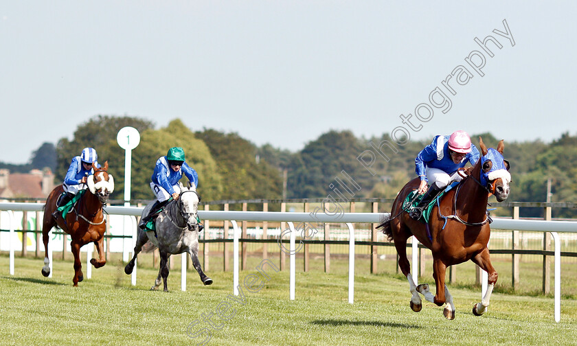 Thamaraat-0001 
 THAMARAAT (Stephen Harrison) beats AMEED (2nd left) and JAAHEZ (left, Bryony Frost) in The Al Gheesah Beach Handicap for Purebred Arabians
Bath 3 Jul 2019 - Pic Steven Cargill / Racingfotos.com