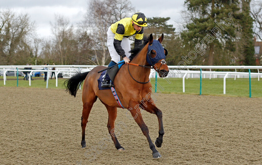 King-Of-The-South 
 KING OF THE SOUTH (Callum Shepherd)
Lingfield 5 Feb 2022 - Pic Steven Cargill / Racingfotos.com