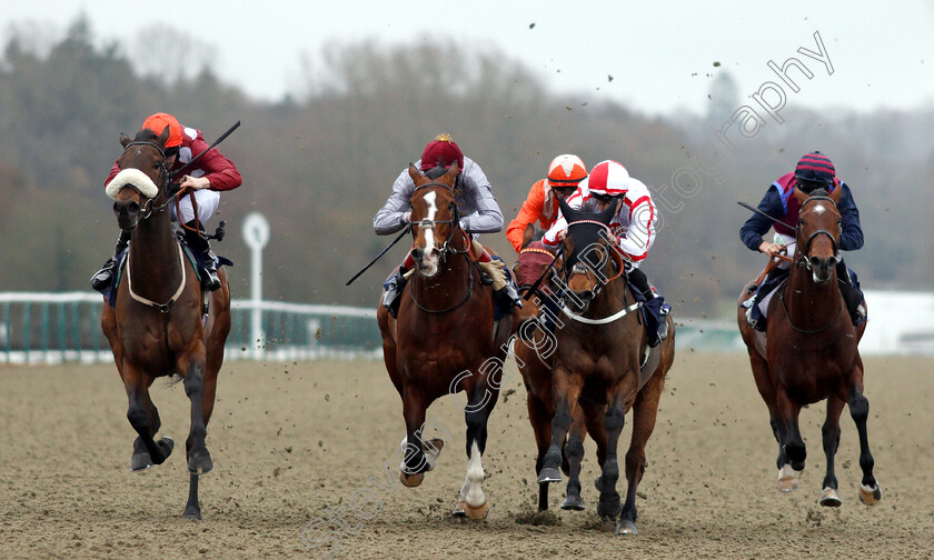 Mango-Tango-0006 
 MANGO TANGO (left, Edward Greatrex) beats TOAST OF NEW YORK (2nd left) SCARLET DRAGON (2nd right) and NORTH FACE (right) in The Betway Casino Stakes
Lingfield 5 Dec 2018 - Pic Steven Cargill / Racingfotos.com