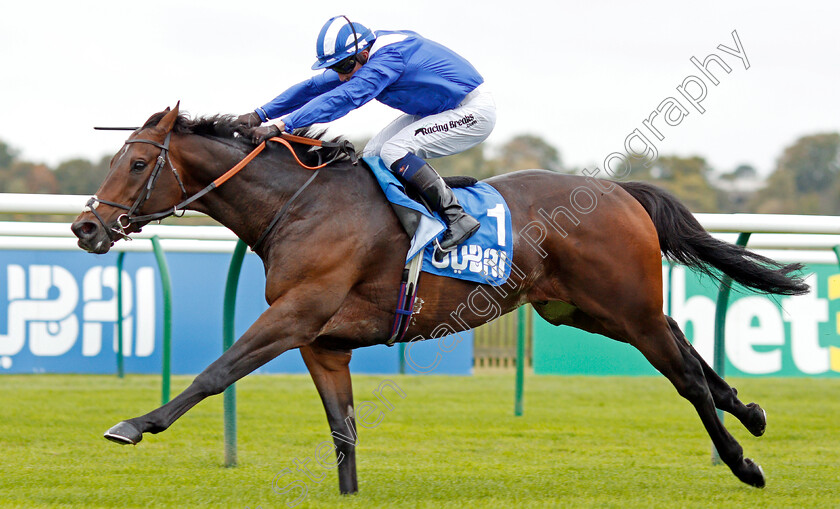 Mustashry-0006 
 MUSTASHRY (Jim Crowley) wins The Godolphin Std & Stable Staff Awards Challenge Stakes
Newmarket 11 Oct 2019 - Pic Steven Cargill / Racingfotos.com