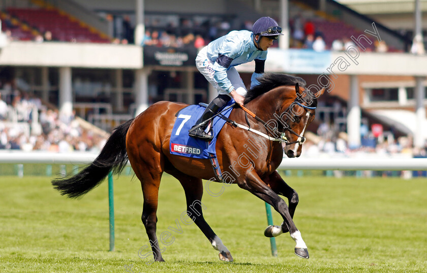 Spycatcher-0001 
 SPYCATCHER (Clifford Lee)
Haydock 28 May 2022 - Pic Steven Cargill / Racingfotos.com